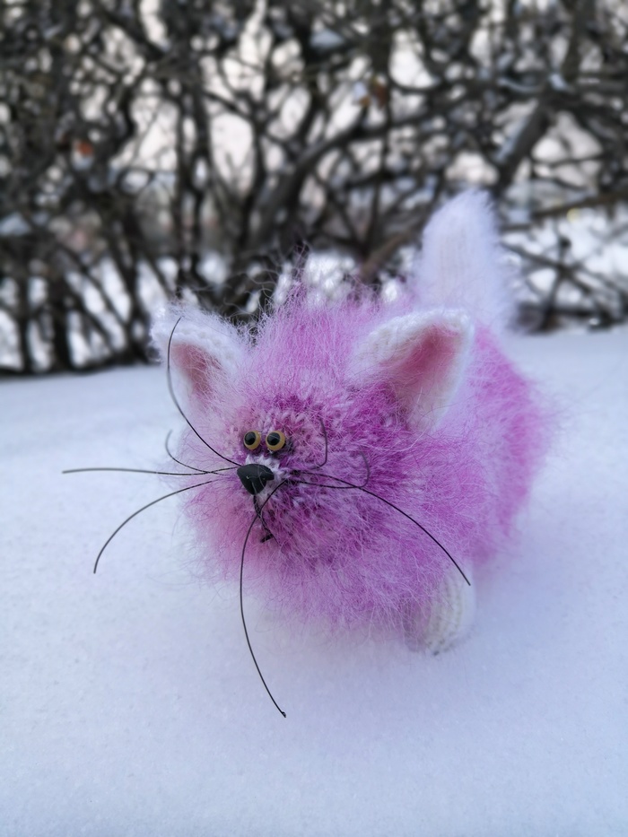 Кот Чизкейк...