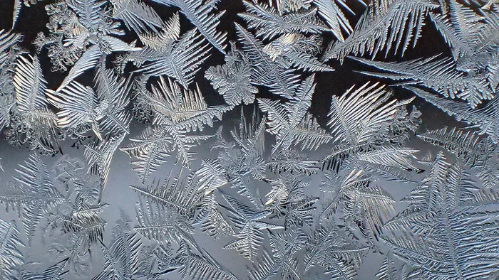 Frost decorated - My, Patterns, Window, The photo