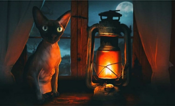 ���������