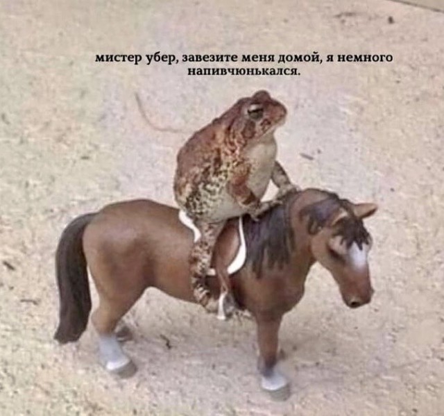 ����� ��� ��� �� ������