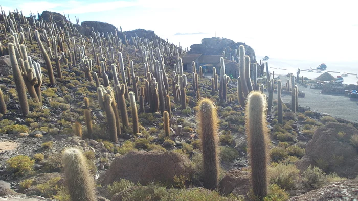 Latin American checkmark - Salar de Uyuni (03.12.2019) - end - My, Travels, Tourism, South America, Longpost, Series Latin American Tick 20192020