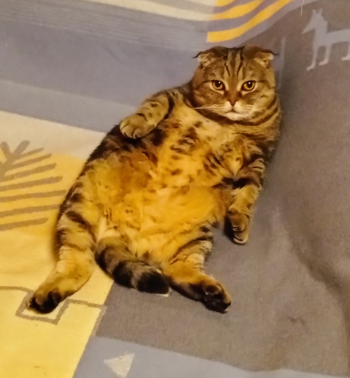 ����� ����!