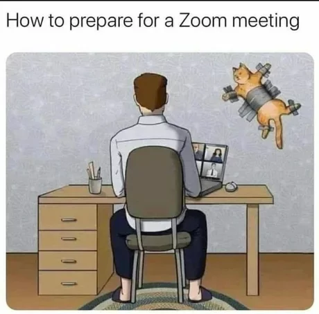 Как готовиться к конференции зум - ZOOM Cloud Meetings, Работа, 9GAG, Кот, Картинка с текстом