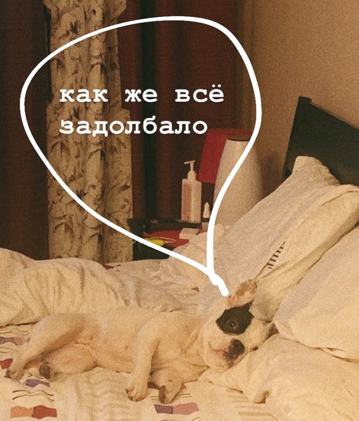 ��� �� �� ���������