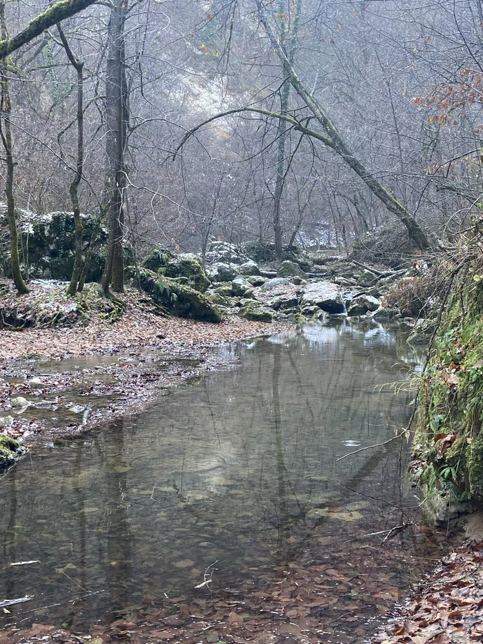 Rufabgo - My, Nature, Rufabgo Falls, The photo, Forest, Longpost