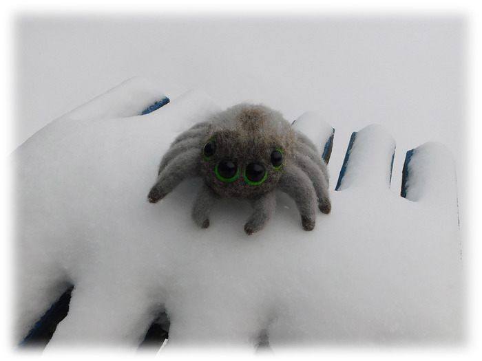 Spider - My, Needlework without process, Dry felting, Spider, Author's toy, Wool, Dlninopost, Longpost