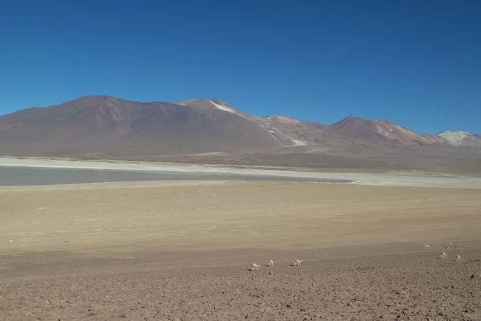 Latin American checkmark - farewell to the Altiplano (05.12.1019) - My, Travels, Tourism, South America, Video, Longpost, Series Latin American Tick 20192020