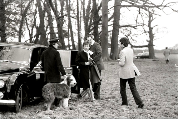 Paul McCartney's dog - Martha - Paul McCartney, Dog, Longpost