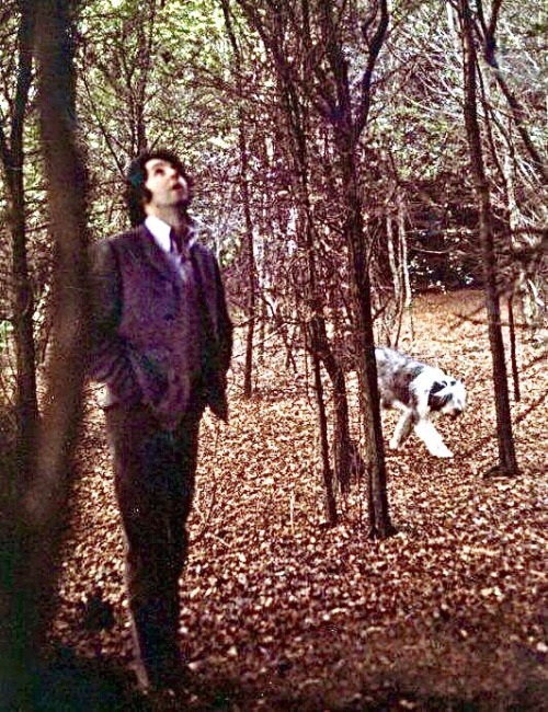 Paul McCartney's dog - Martha - Paul McCartney, Dog, Longpost