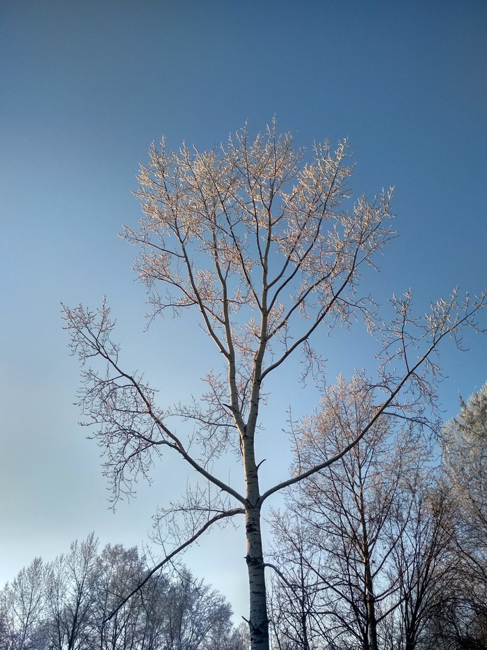 ������-�