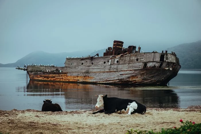 Hasan. - My, Photographer, The photo, Travels, Travel across Russia, Nature, Primorsky Krai, Дальний Восток, Vityaz Bay, , Sea, Summer