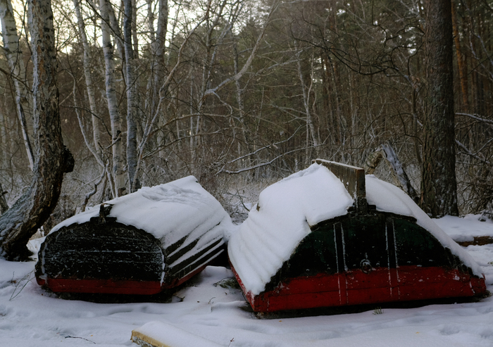 Прилегли отдохнуть на зиму