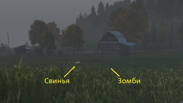 Симулятор бега или тыквенный овощевод? Рецензия к игре DayZ  постапокалипсис - Моё, DayZ, Обзор, Рецензия, Игры, Зомби, Апокалипсис, Моды, Длиннопост