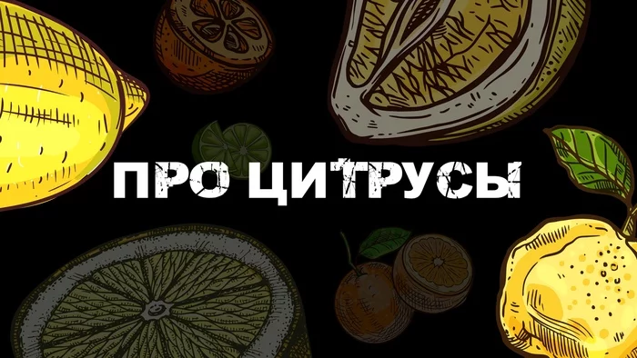 Hot pots about citruses - My, Kitchen, Cook, Moscow, Pyatigorsk, Cooking, Food, Citrus, Orange, , Lemon, Lime, Tangerines, Peekaboo, Longpost, Citrus