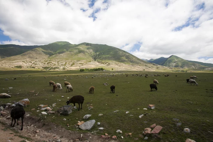 Mountain spaces of Kyrgyzstan - My, Summer, The mountains, Kyrgyzstan