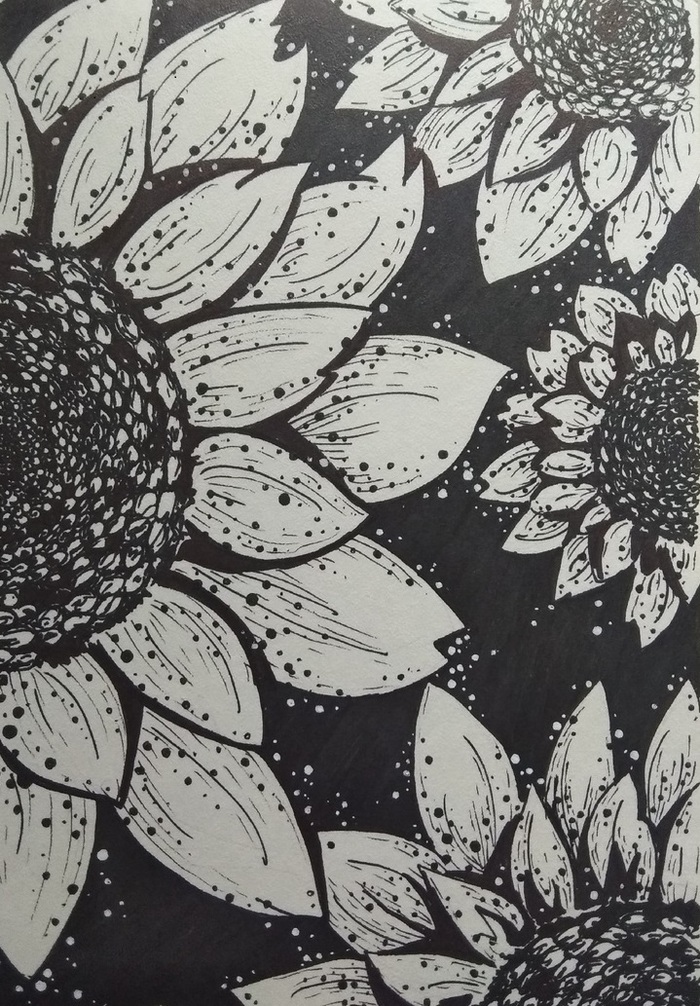 ����������