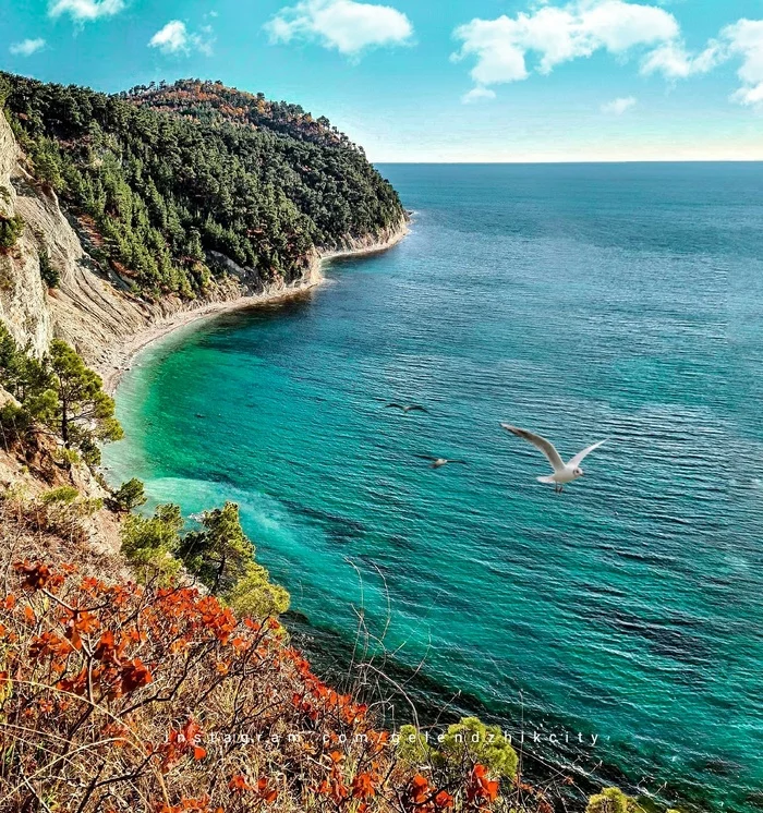 The Blue Abyss is a place between the village of Divnomorskoye and the farm Dzhankhot, 15 km from Gelendzhik - My, Gelendzhik, Black Sea, Relaxation, Travel across Russia, Краснодарский Край, Sea, South of Russia, Beautiful view, , wildlife, Nature, Russia, The rocks