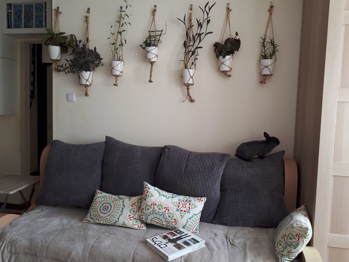 ���������� ���