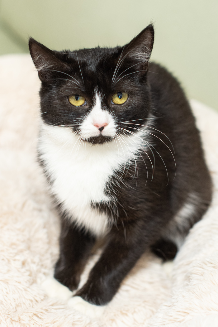 ������� � ���