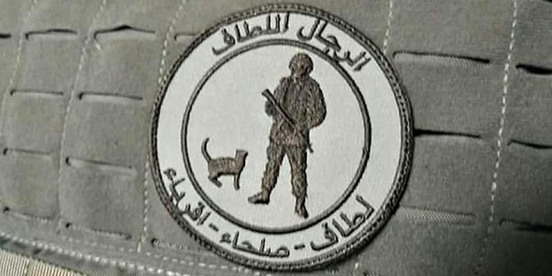 Военные нашивки из Сирии: черепа, котики и арабская вязь - Morale patches, Сирия, Армия, Длиннопост