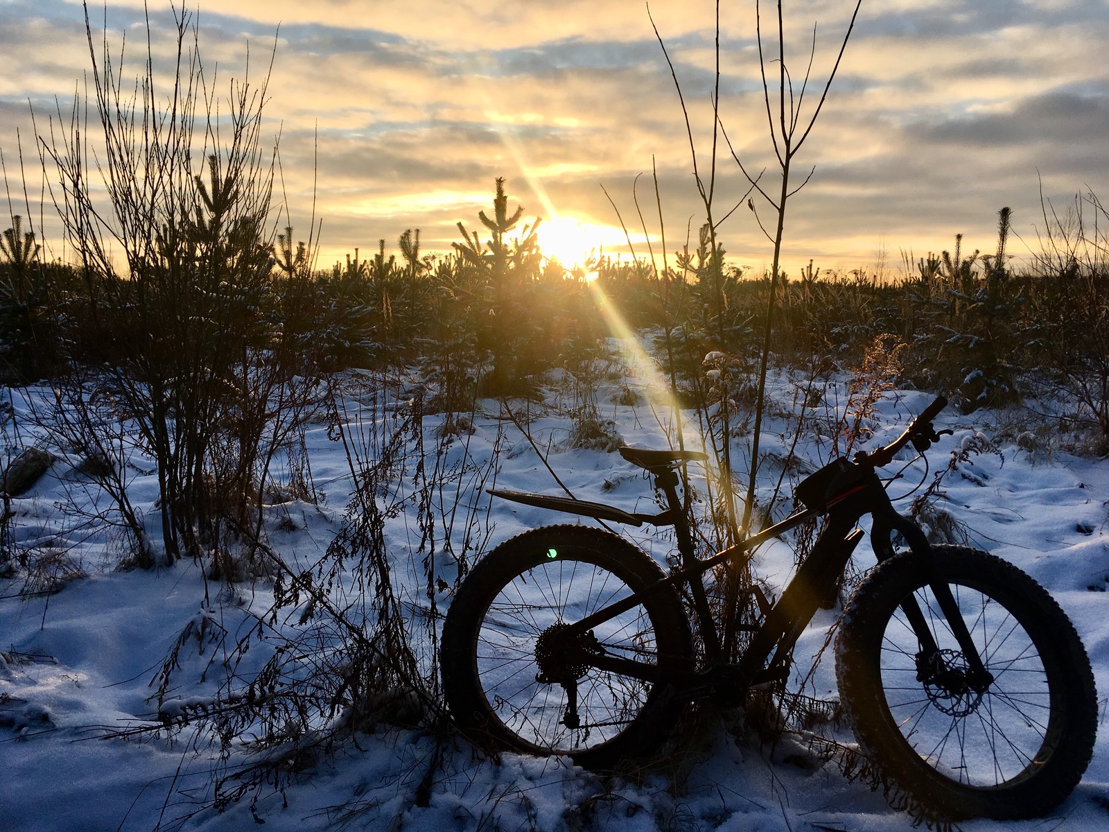 Drove into an unknown forest... - My, Winter, Fatbike