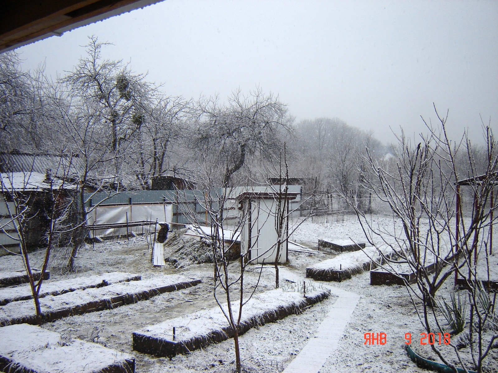 Winter in the Krasnodar region - My, Краснодарский Край, Snow, Longpost