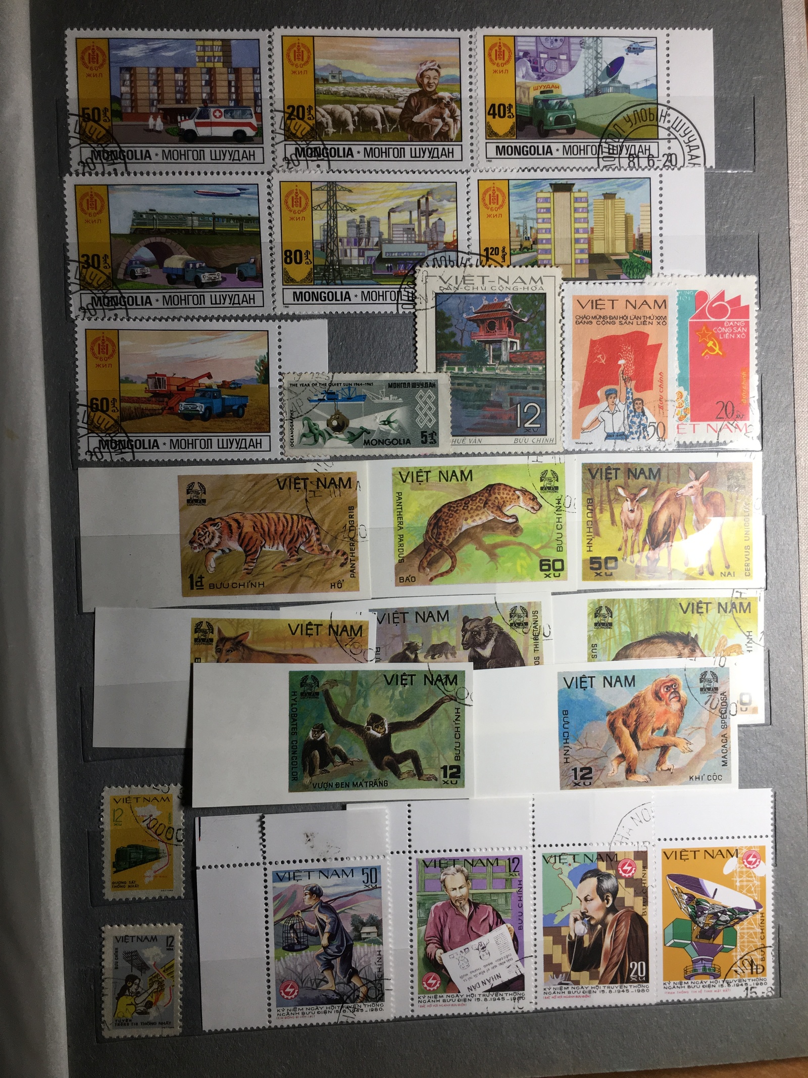 Collection of postage stamps. - My, the USSR, Philately, Collection, Stamps, The photo, Longpost