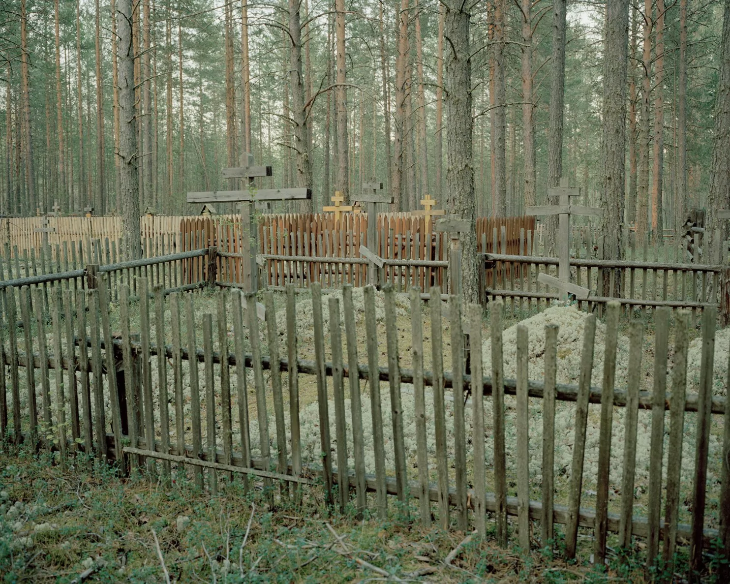 Journey to the village of Old Believers in the Krasnoyarsk Territory - A selection, Travel across Russia, Old Believers, Taiga, Interesting, Longpost