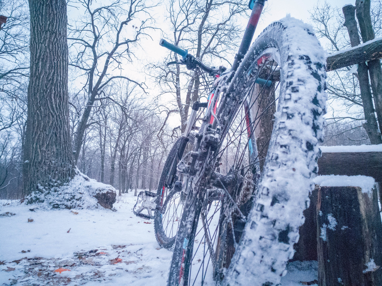 Мои фото с велопрогулок 12.01.2018 - Моё, Велосипед, Город Энгельс, Formatbikes, Зима, Мобильная фотография, Honor 6x, Зашакалено, Длиннопост