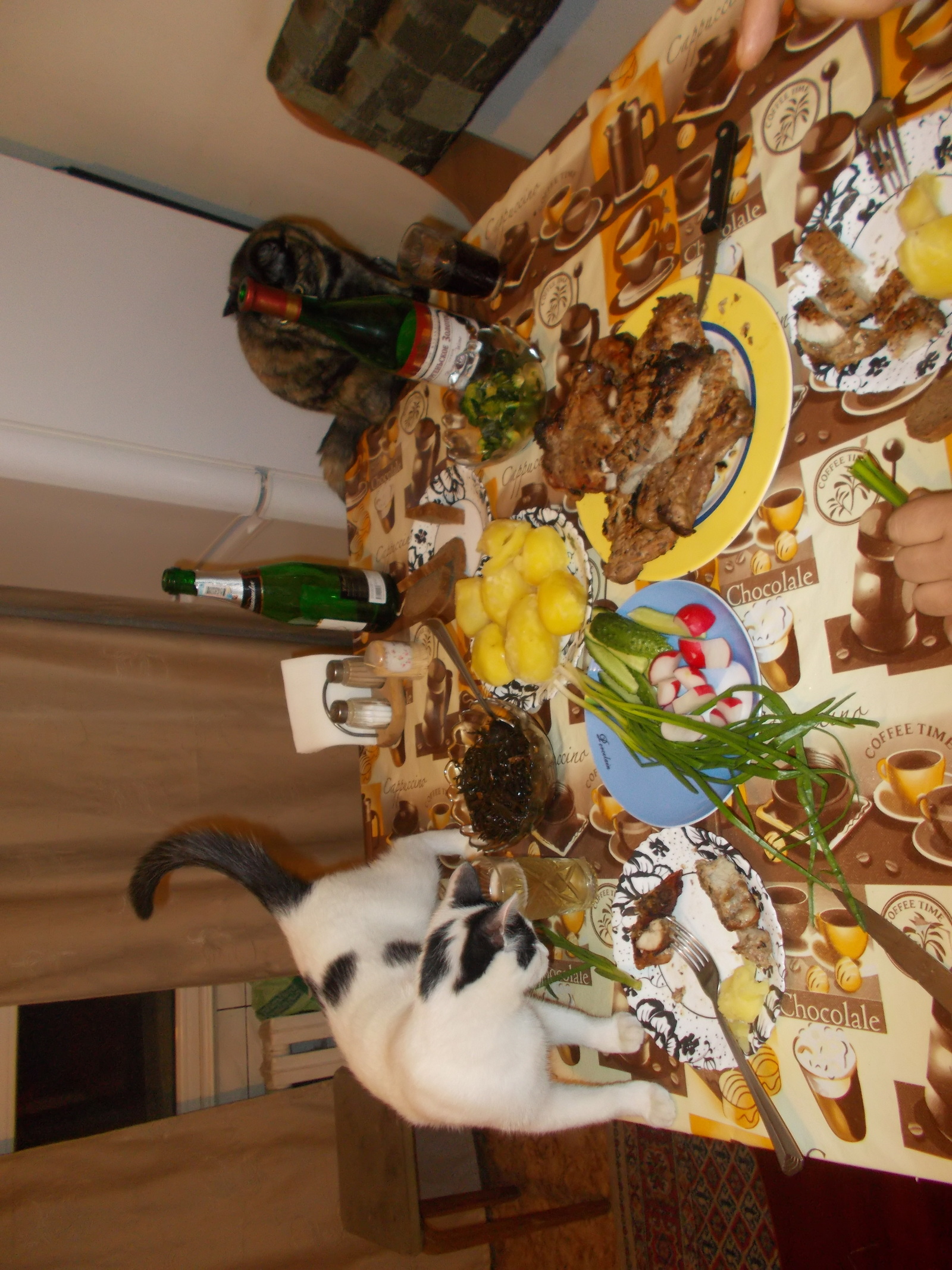 Dear Pikabutyans and Pikabutyanki! - My, New Year, Shashlik, B-B-Q, Winter, Cats and dogs together, Longpost