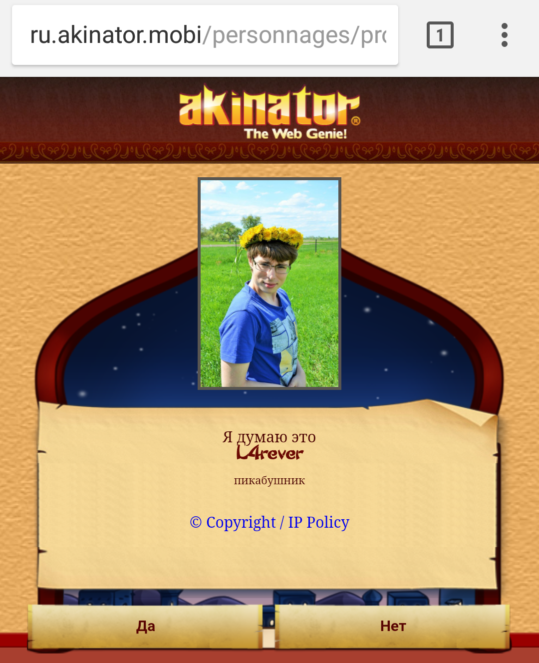 Mother of seconds... - My, Screenshot, Akinator, L4rever