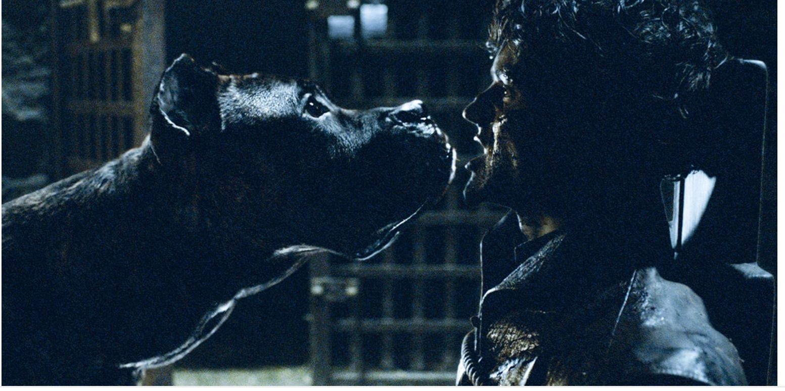 9 hungry dogs - Dog, Karma, Game of Thrones