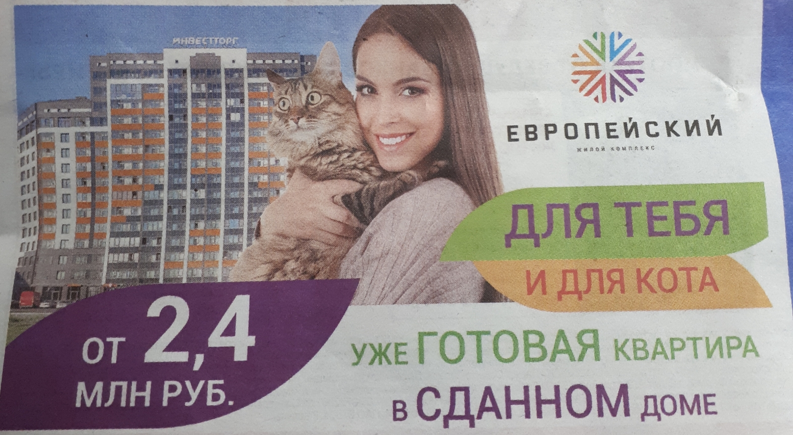 Each cat has its own fish and hut - cat, Apartment, Advertising