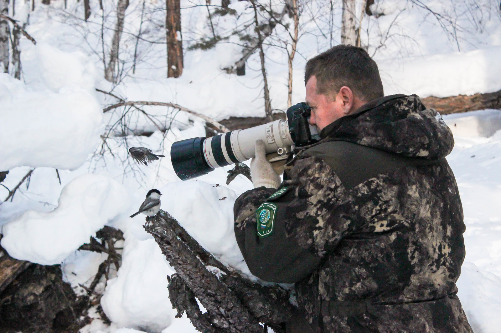 First meeting. - Sable, Barguzin Nature Reserve, Artur Murzakhanov, , Not mine, Longpost, Communication, State Inspector