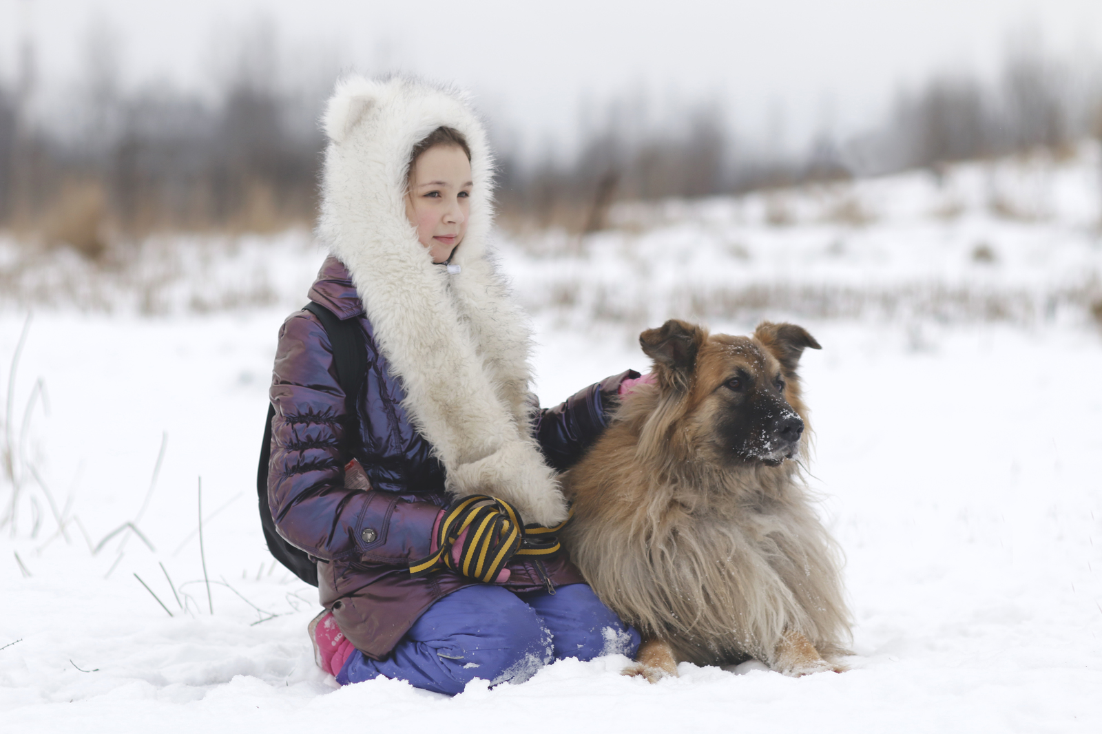 Dog Fog - My, Dog, Sheremetyevo Shelter, Longpost