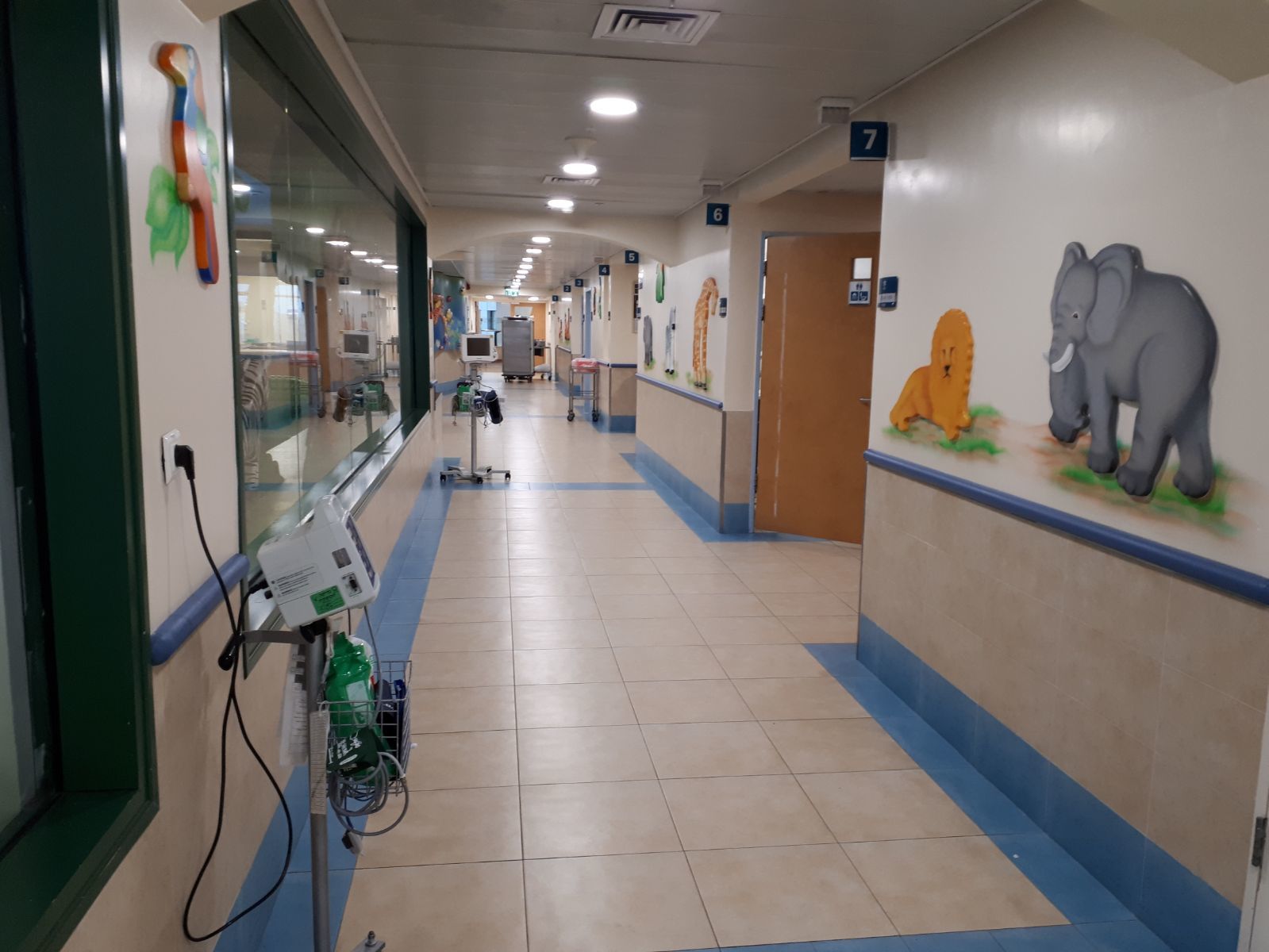 That these rooms are always empty! - My, Children, Hospital, Israel, Longpost