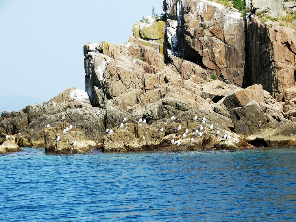 Boat trip, along the coast of the Slavic Gulf - part 1. - My, Дальний Восток, Primorsky Krai, Sea, , Longpost