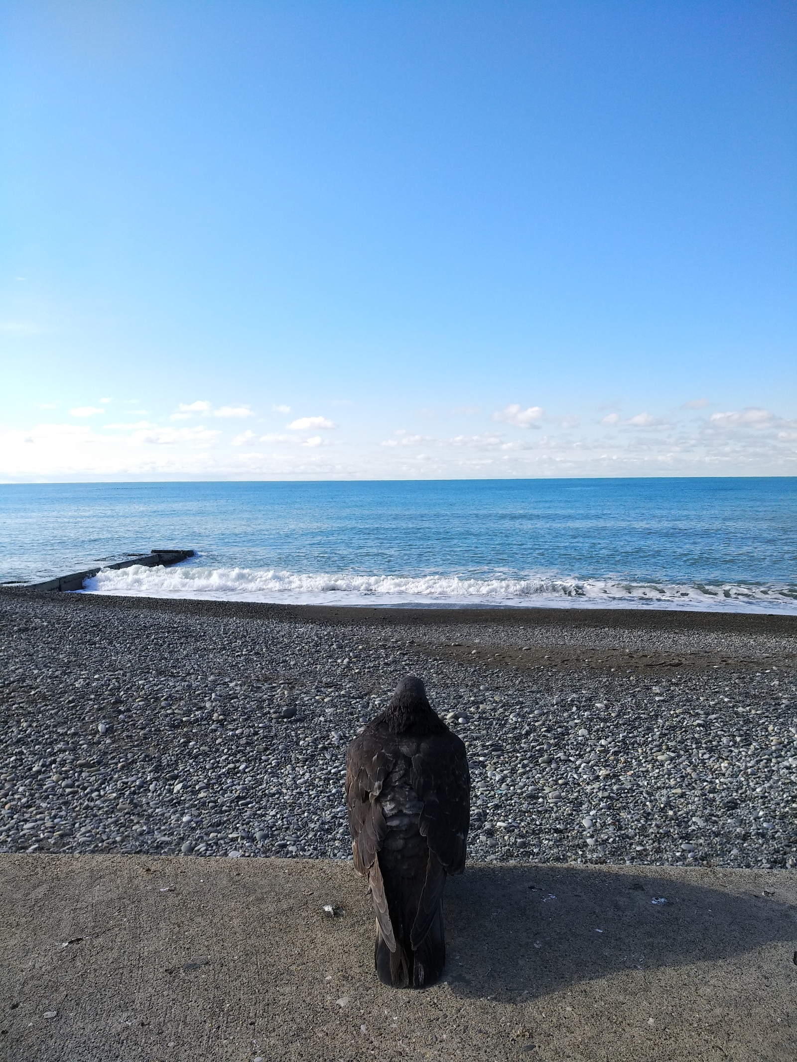 Adler today - My, Adler, Winter, Heat, January, , Longpost