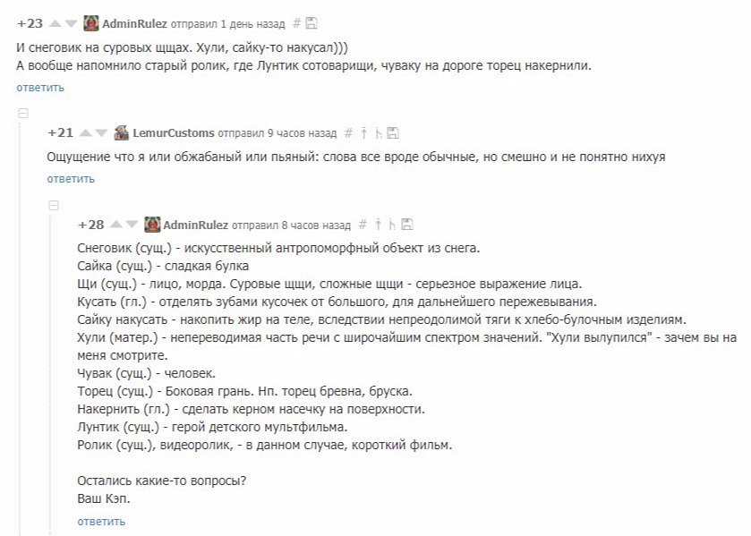 Great and mighty is the Russian language... - Screenshot, Screens of comments, Comments, Comments on Peekaboo, Peekaboo, Russian language