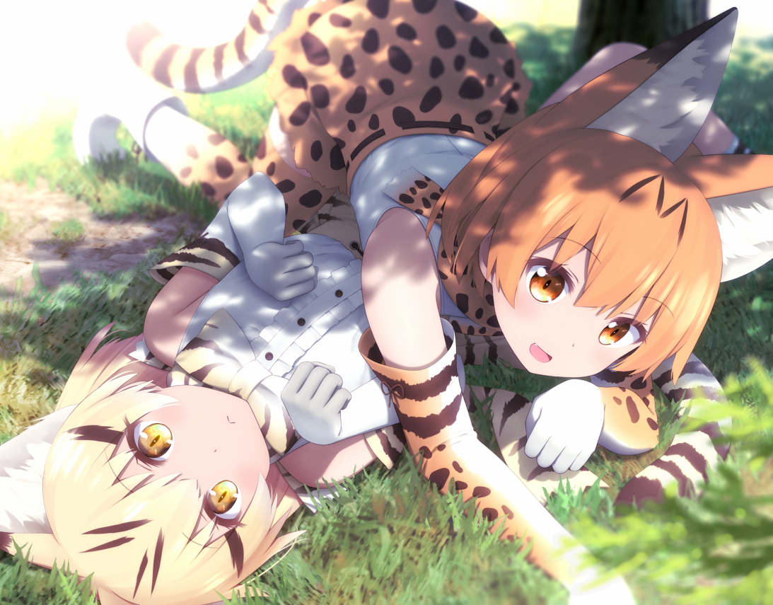 Kemono Friends [2] - Аниме, Anime Art, Длиннопост, Kemono Friends