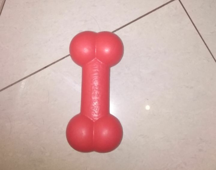 Bought a dog toy. - My, Dog, Vulgarity