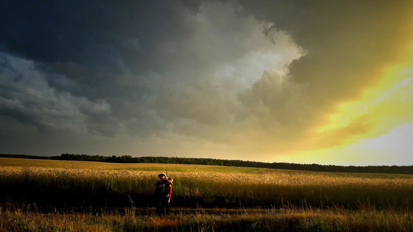 Miscellaneous sky 17th - My, Sky, Sunset, The photo, Thunderstorm, My, Mobile photography, Summer, Longpost