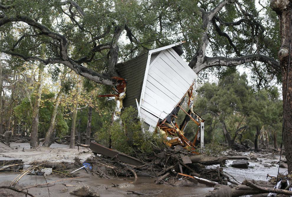 When you wanted to build a tree house, but suddenly changed your mind! - Tree house, Destruction, Changed my mind