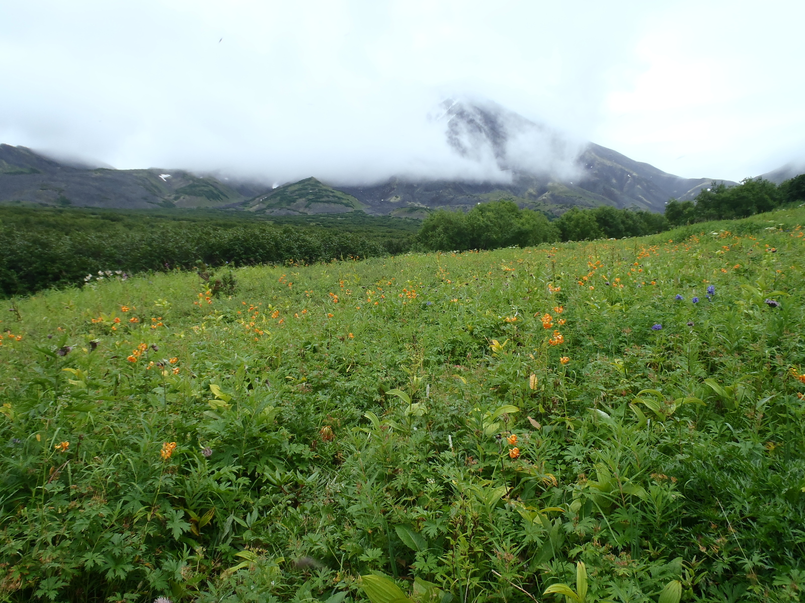 Our race (crawled) to the Bakening volcano. Day two - soaked in dampness, pain and hatred. - My, My, Kamchatka, Tourism, Sodomy, Longpost, , Volcano