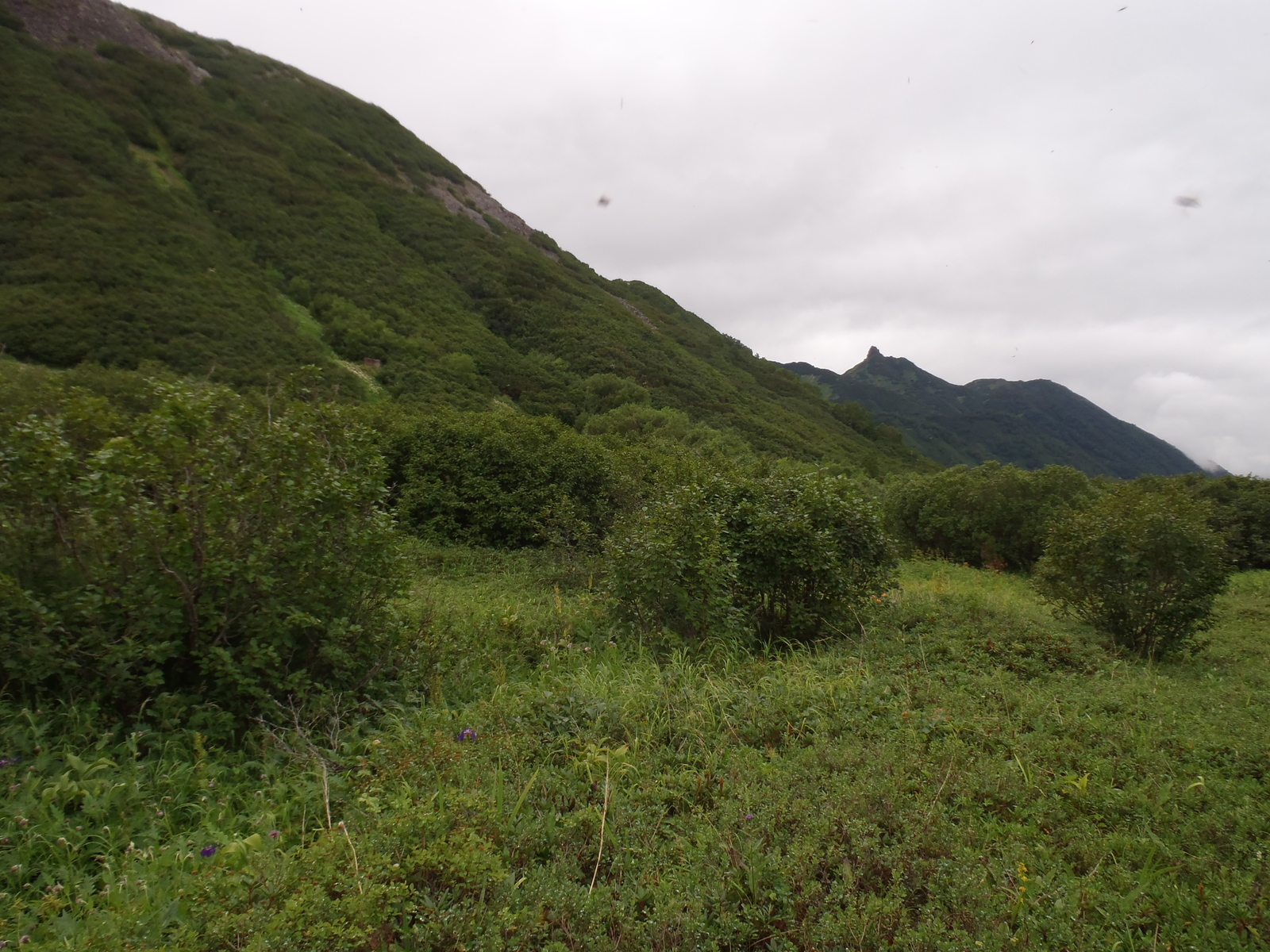 Our race (crawled) to the Bakening volcano. Day two - soaked in dampness, pain and hatred. - My, My, Kamchatka, Tourism, Sodomy, Longpost, , Volcano