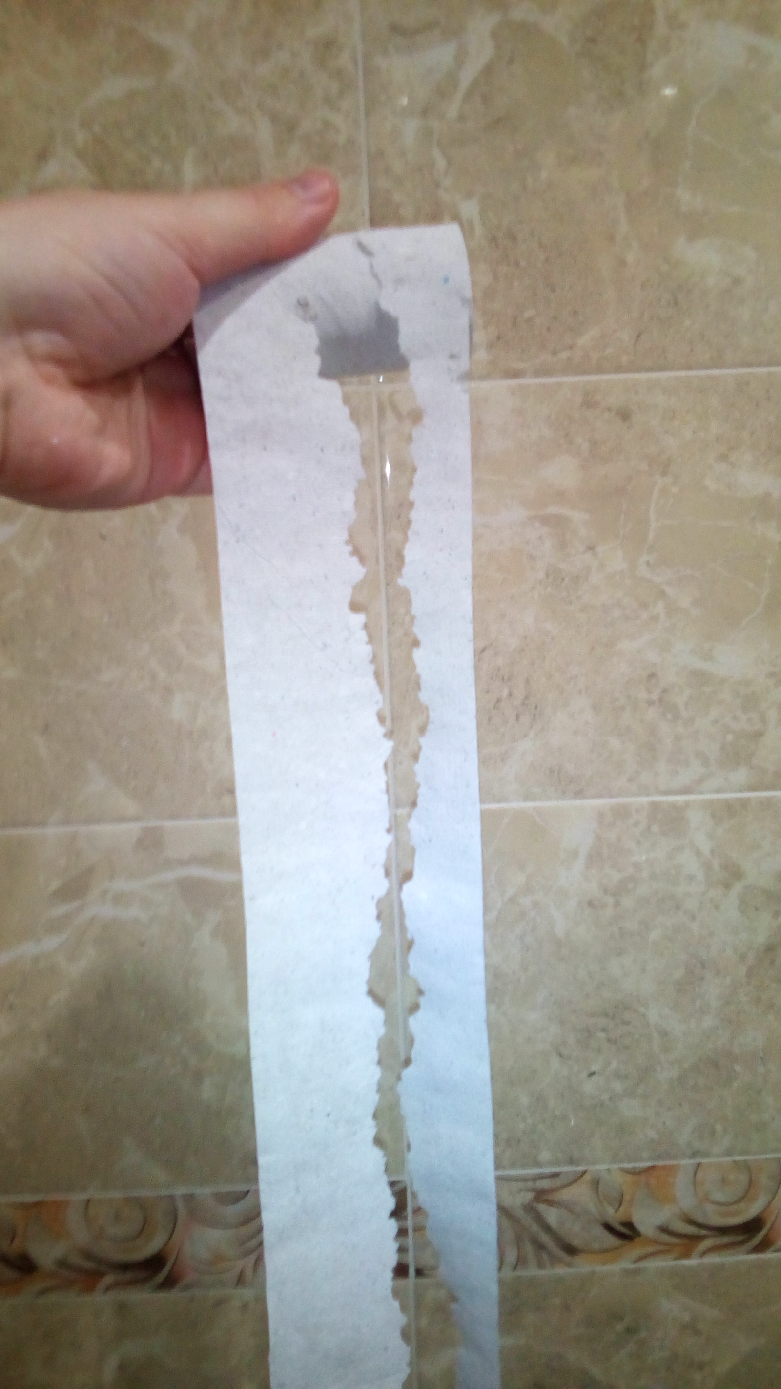 Wasted toilet paper - My, Toilet paper, Marriage, Toilet, Longpost