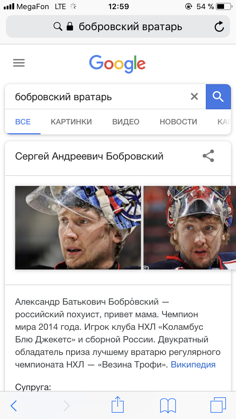 I decided to watch the goalkeeper Bobrovsky - Hockey, Humor