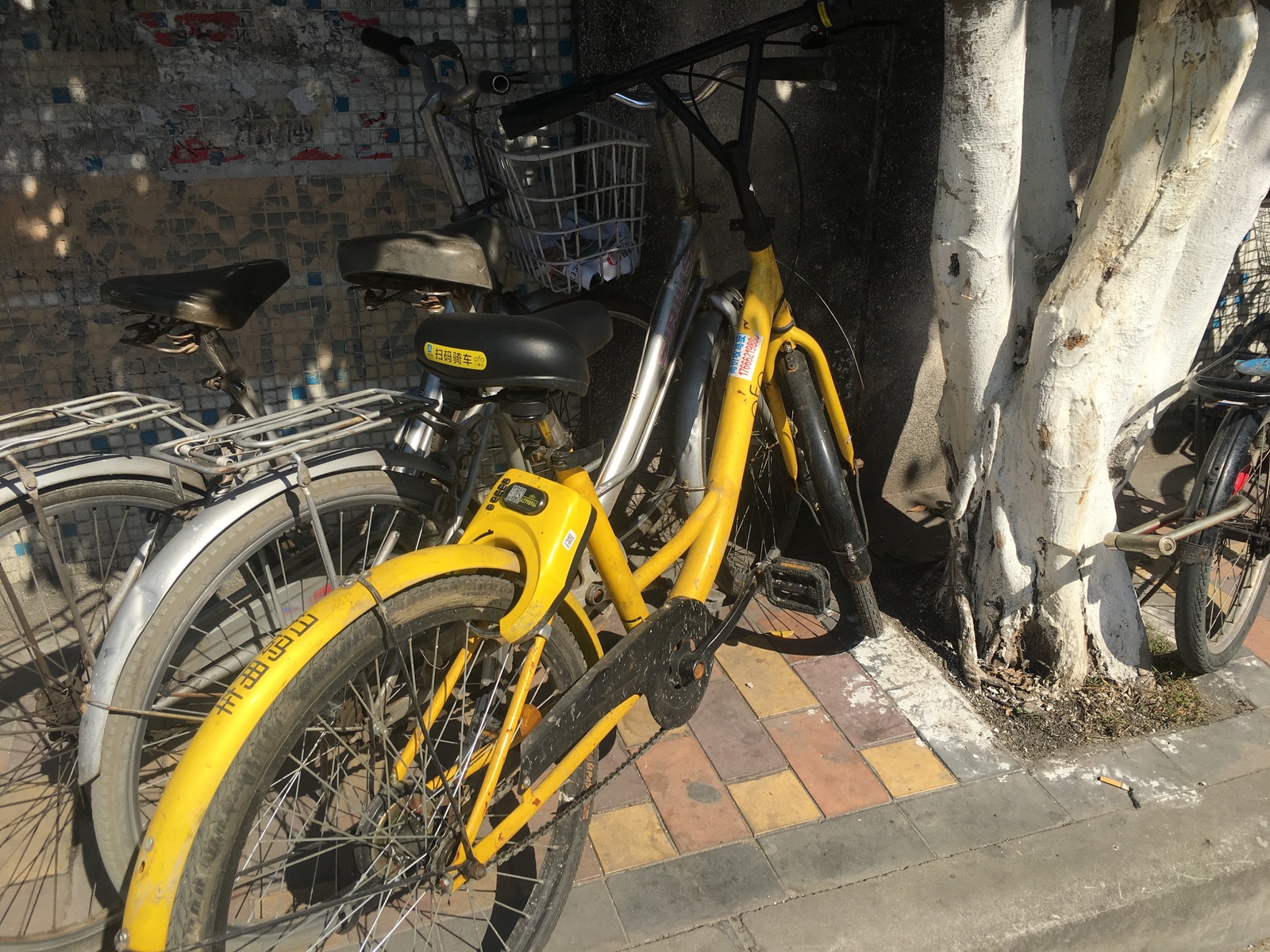 And again about China... Bicycles - My, China, A bike, Longpost, Bike rental