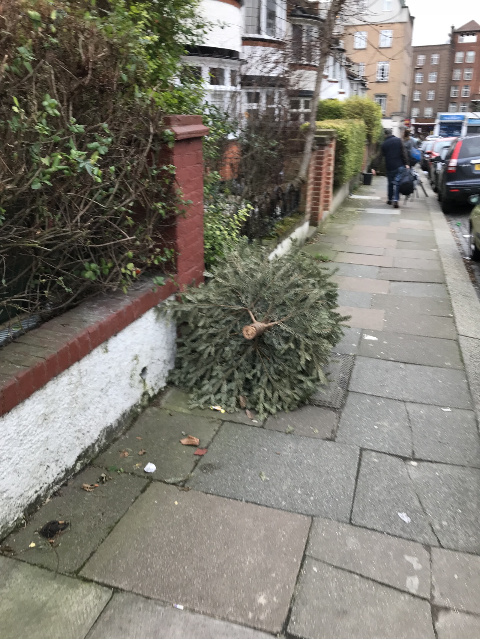 How Christmas trees are thrown away in England - My, Christmas trees, New Year, England, Longpost