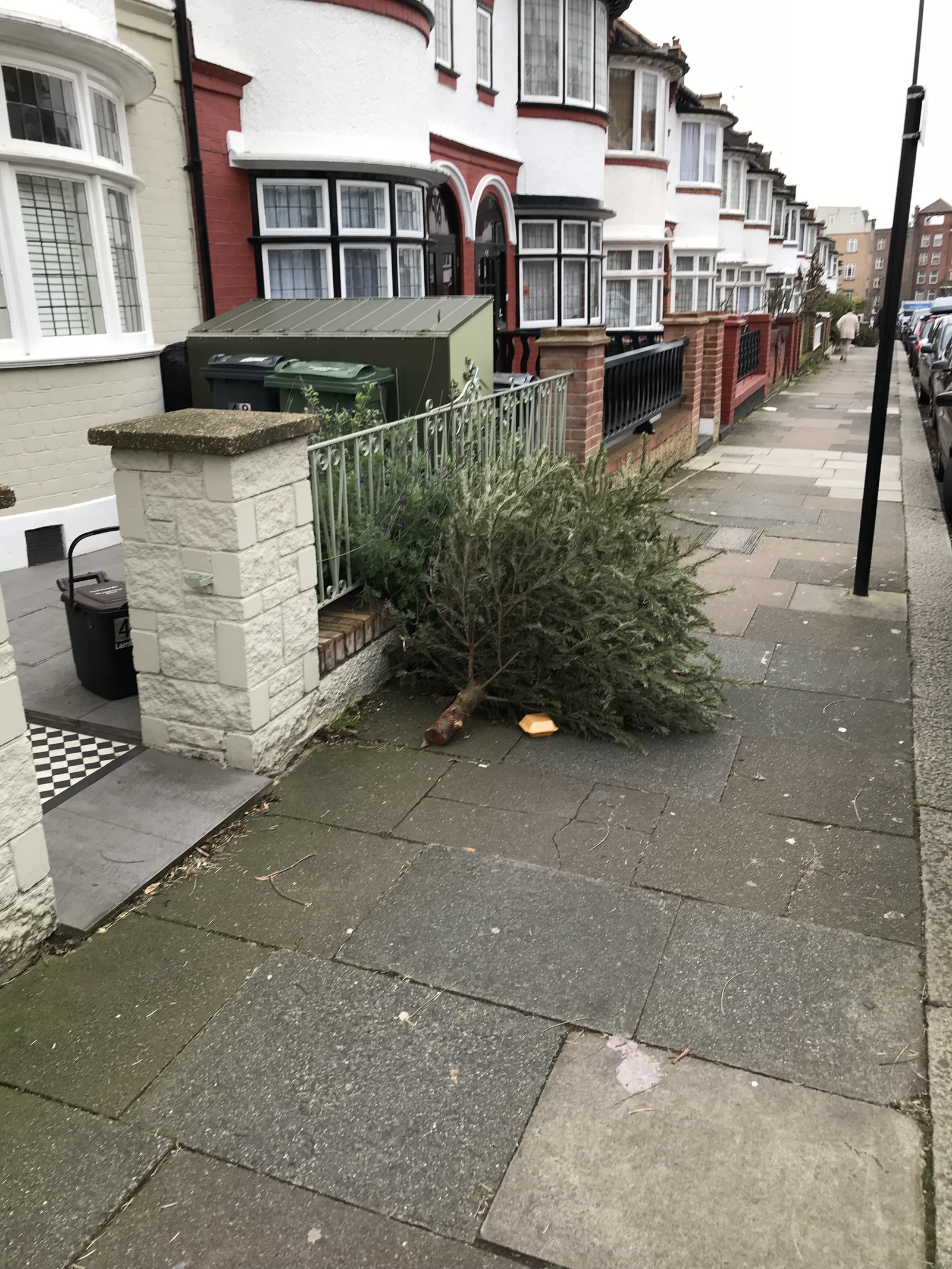 How Christmas trees are thrown away in England - My, Christmas trees, New Year, England, Longpost